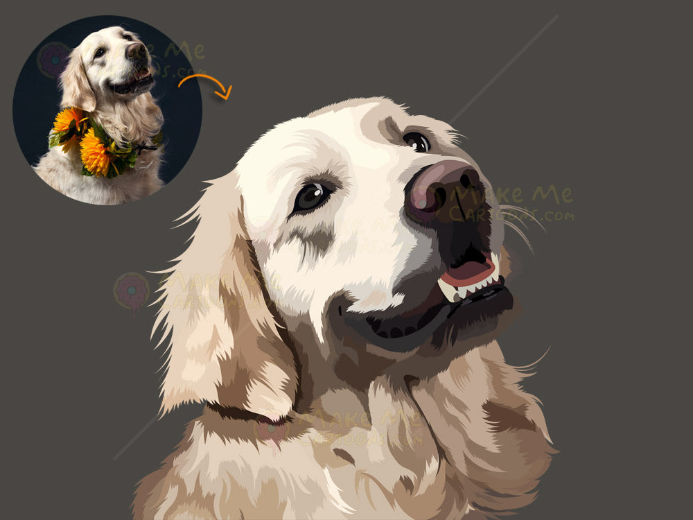Draw My Pets