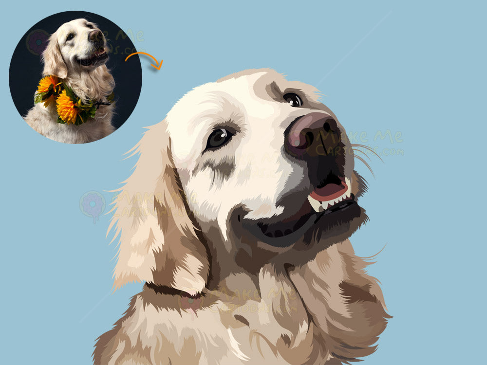 Draw My Pets