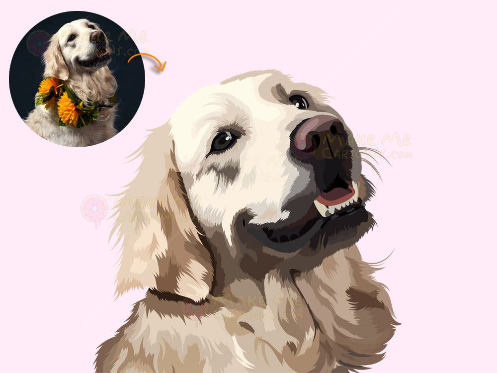 Draw My Pets