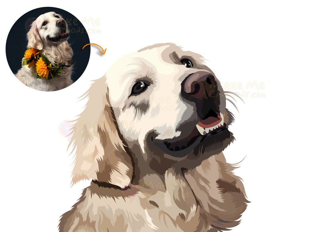 Draw My Pets